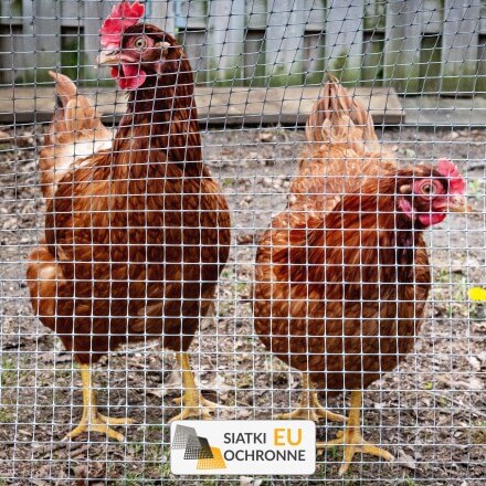 Siatka do woliery dla ptaków