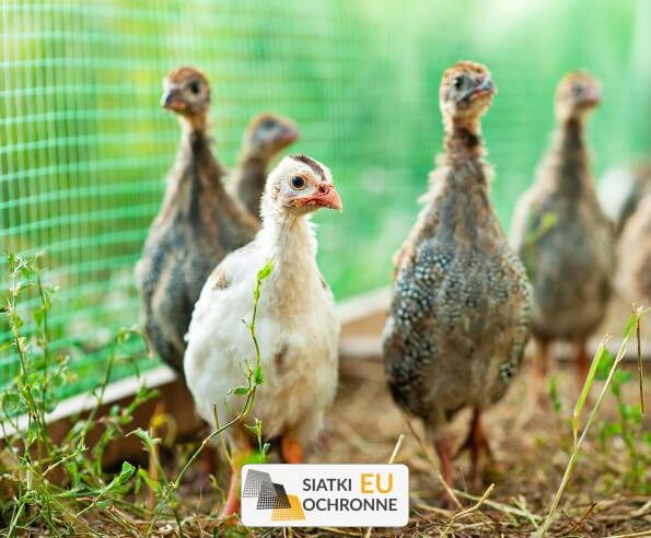 Siatka rolnicza do zabezpieczania upraw