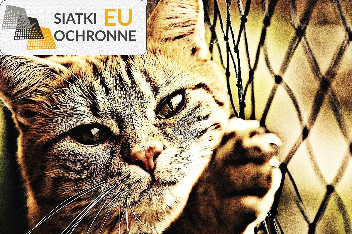 Bezpieczne i estetyczne zabezpieczenia balkonowe w przystępnej cenie SiatkiOchronne.eu - Bezpieczne i estetyczne zabezpieczenia balkonowe w przystępnej cenie