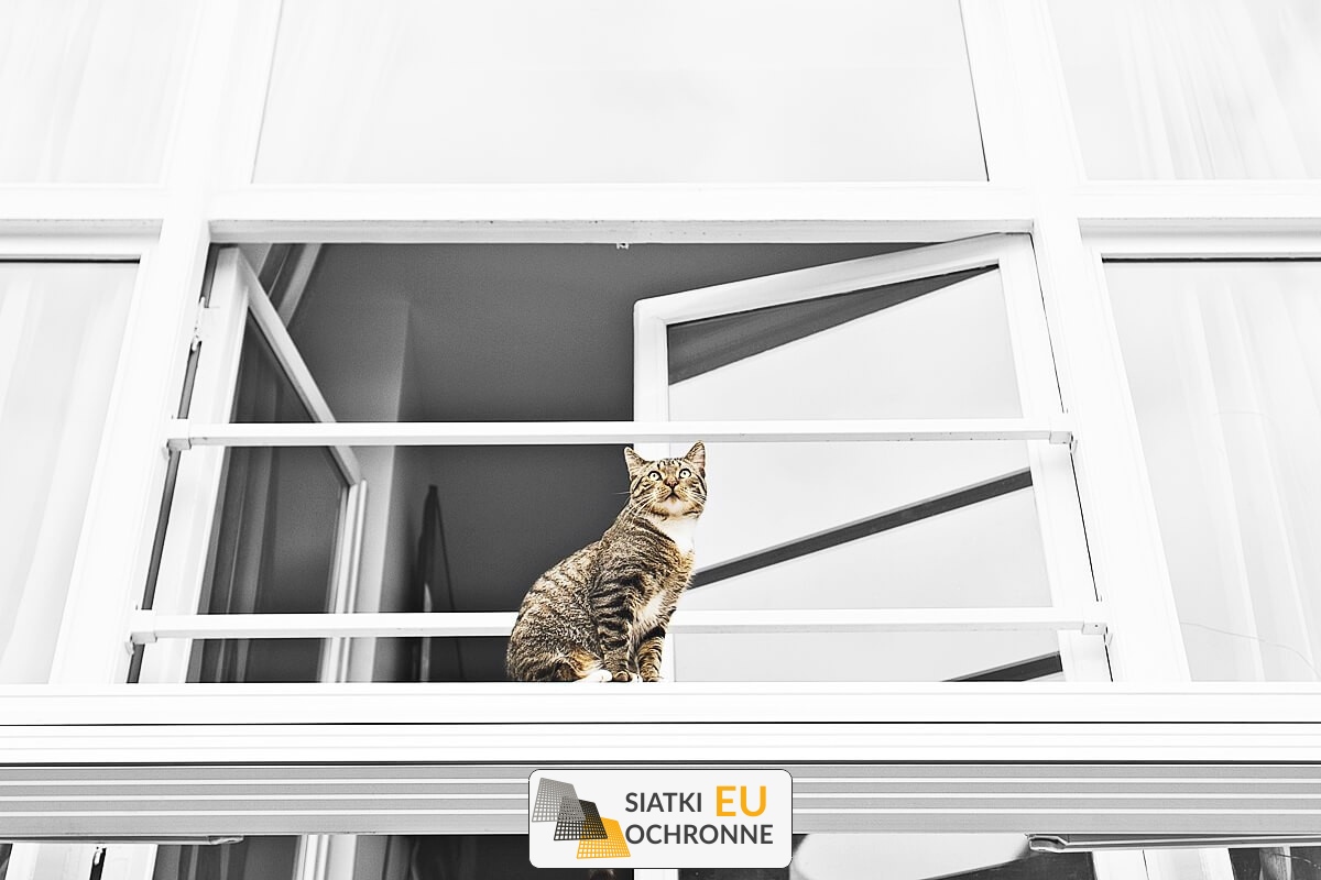   SiatkiOchronne.eu - Sznurkowy System Ochrony dla Kota na Balkonie 