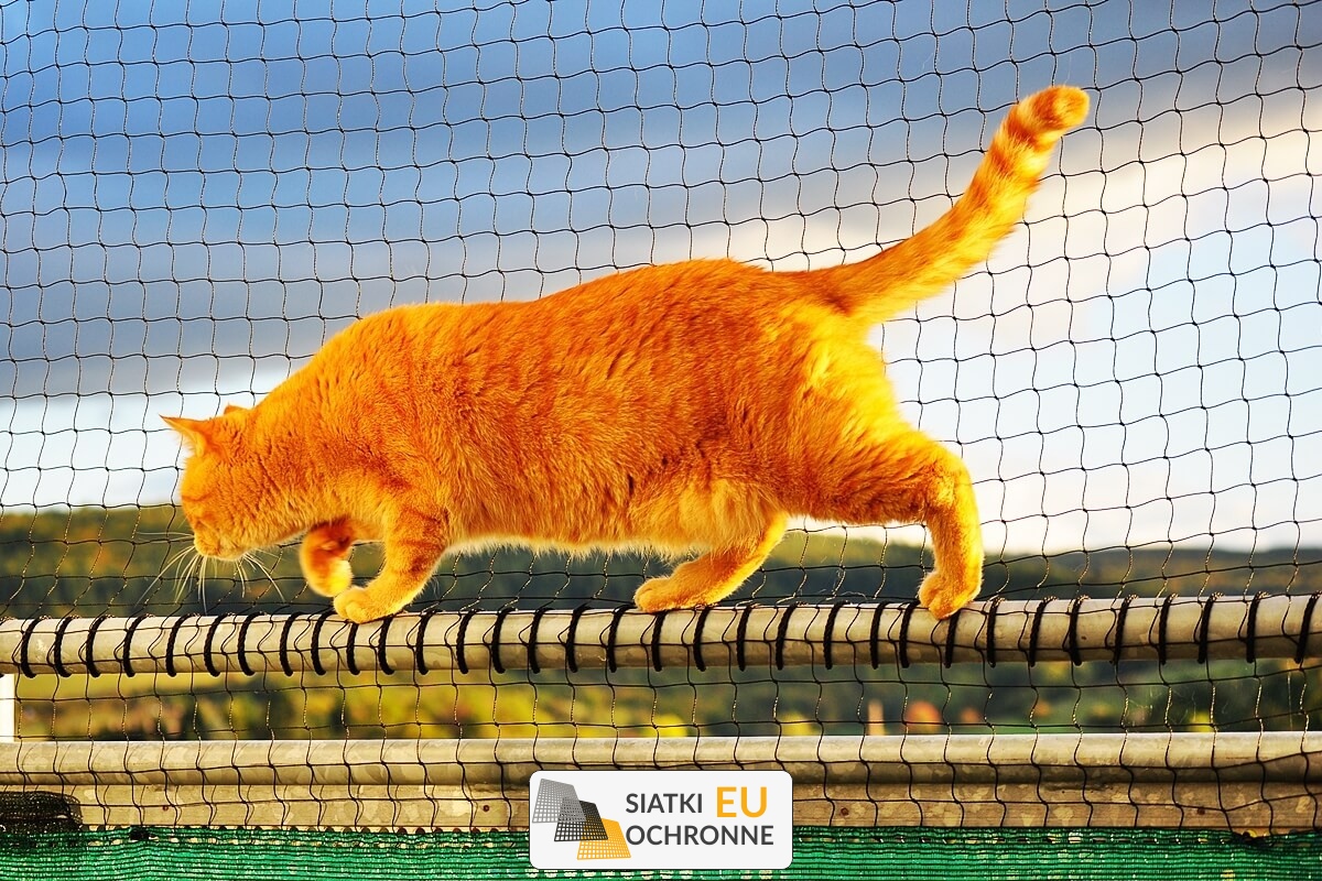   SiatkiOchronne.eu - Ogrodzenie zabezpieczające do domu   Siatka do ogrodzenia w domu 