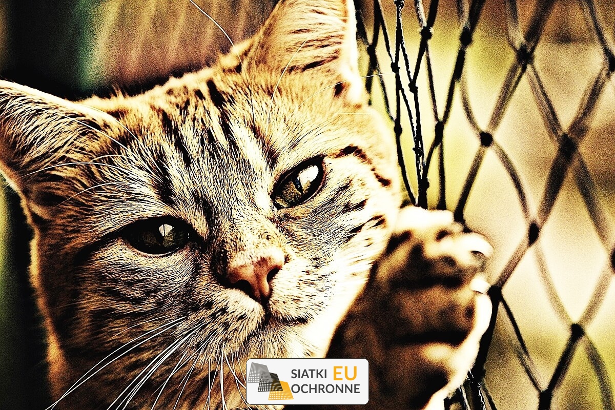   SiatkiOchronne.eu - Siatka z sznurka do ochrony kojca dla maluchów 