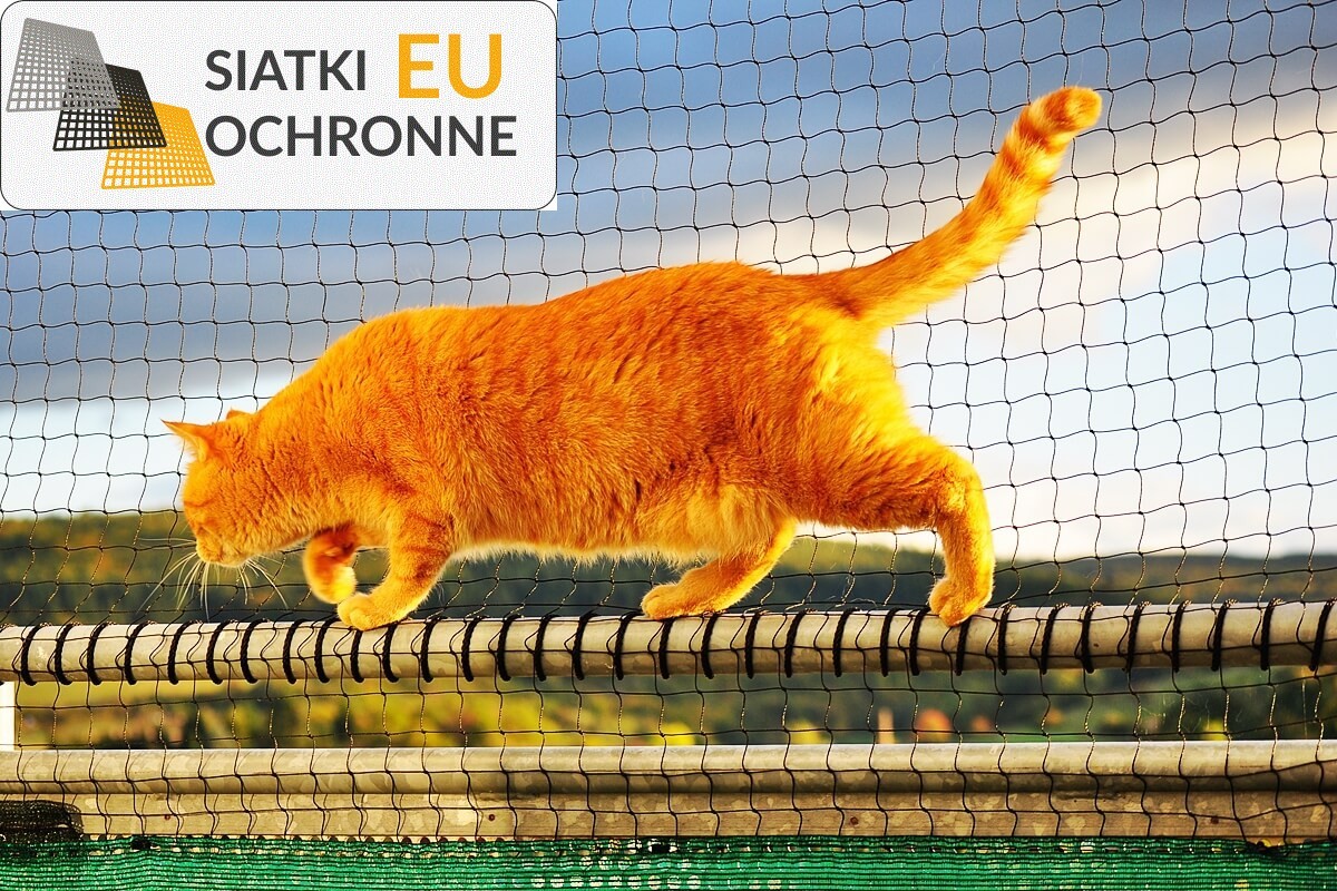 Idealne do ochrony i codziennych zastosowań w Twoim domu: siatki i sznurki SiatkiOchronne.eu - Idealne do ochrony i codziennych zastosowań w Twoim domu: siatki i sznurki