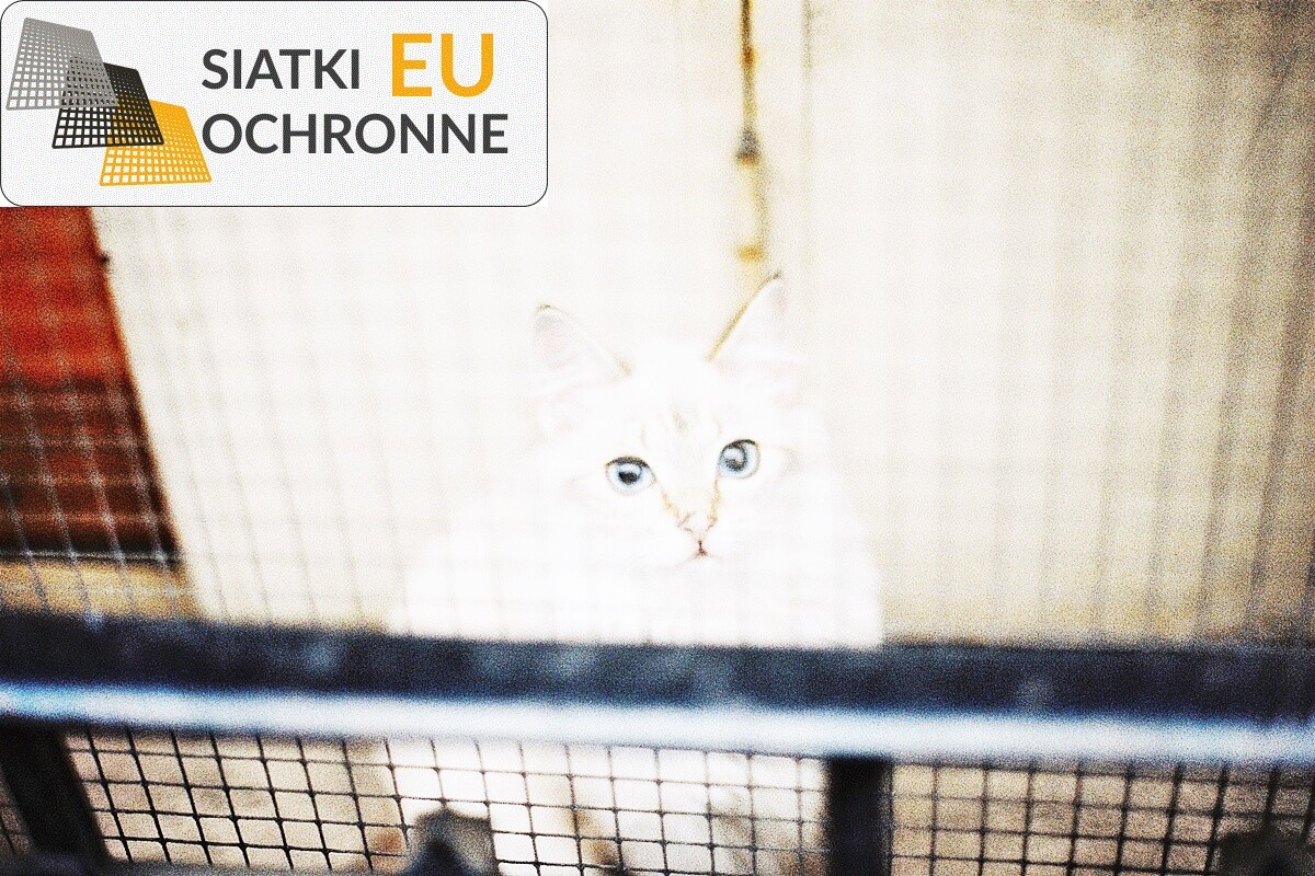 Sznurkowa siatka ochronna na domowe potrzeby SiatkiOchronne.eu - Sznurkowa siatka ochronna na domowe potrzeby