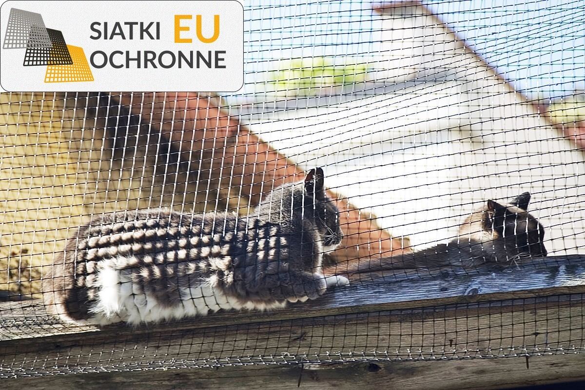 Sznurkowe zabezpieczenie dla łóżek piętrowych SiatkiOchronne.eu - Sznurkowe zabezpieczenie dla łóżek piętrowych