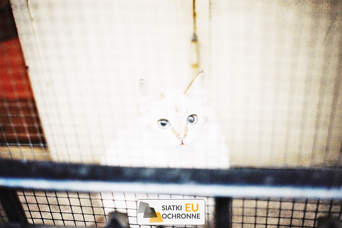   SiatkiOchronne.eu - Zabezpiecz swoje gospodarstwo domowe różnego rodzaju siatkami 