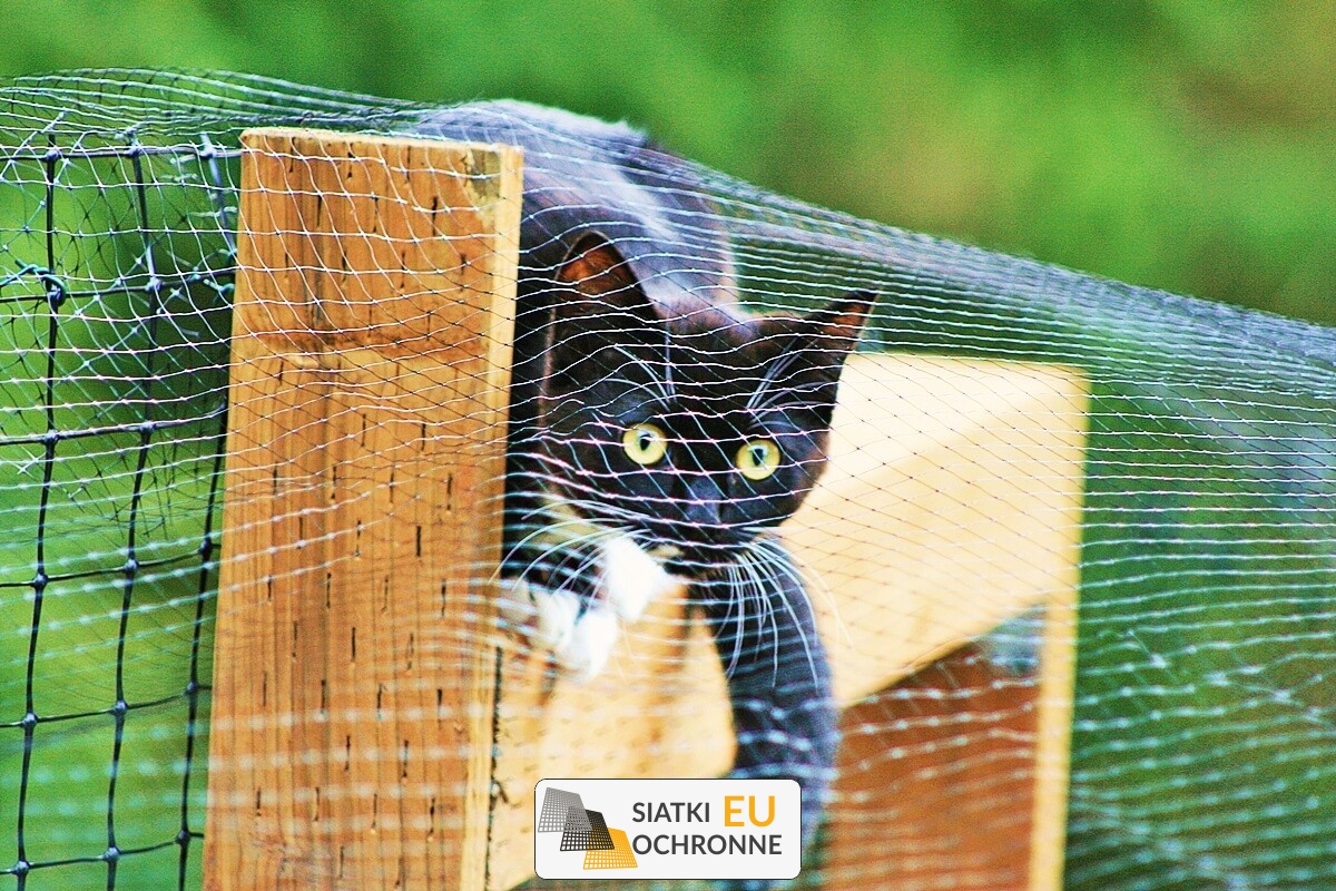   SiatkiOchronne.eu - Siatka pomcna w utrzymaniu porządku   Siatka do porządków domowych 