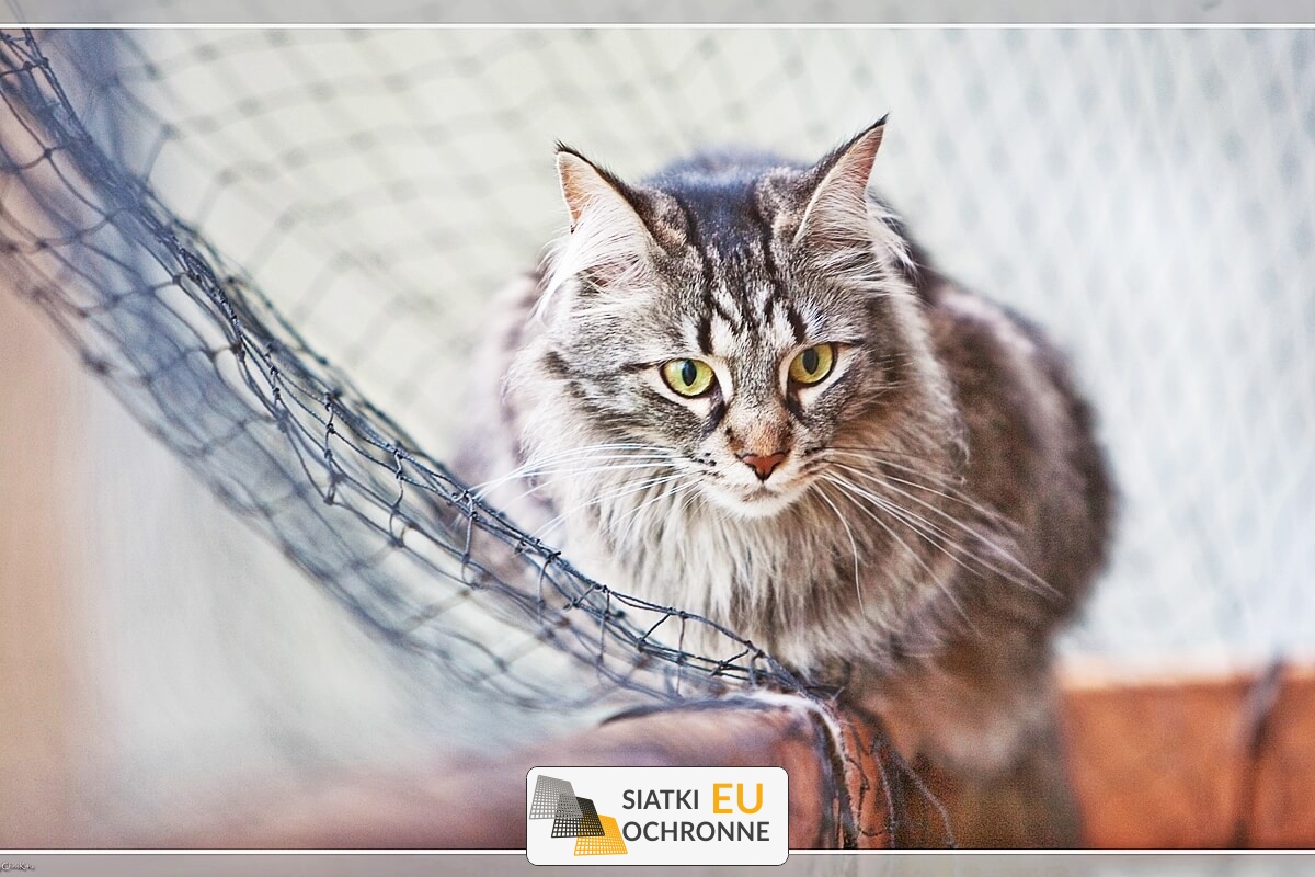   SiatkiOchronne.eu - Siatkowe regały do przechowywania w garażu 