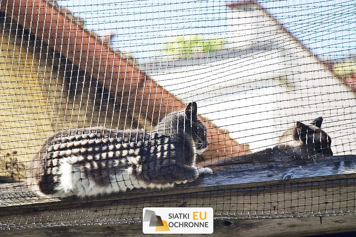   SiatkiOchronne.eu - Funkcjonalne półki siatkowe do przechowywania w garażu 