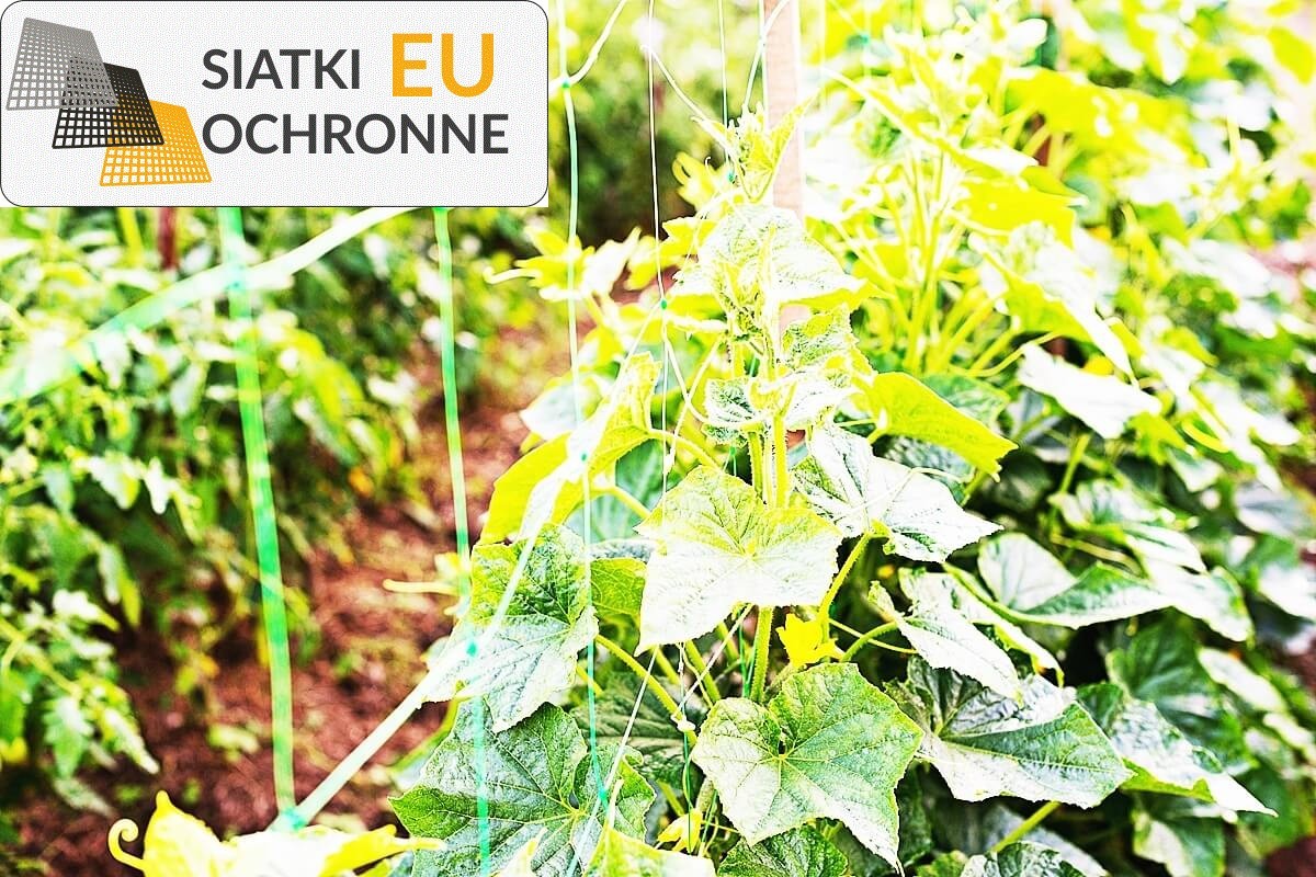 Barierki ochronne przeciwko dzikim zwierzętom SiatkiOchronne.eu - Barierki ochronne przeciwko dzikim zwierzętom