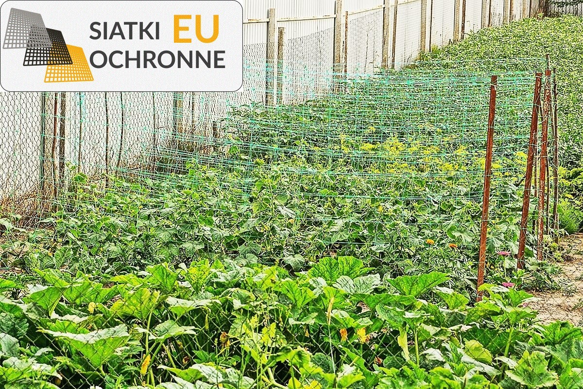 Siatka ochronna na podwyższone grządki SiatkiOchronne.eu - Siatka ochronna na podwyższone grządki