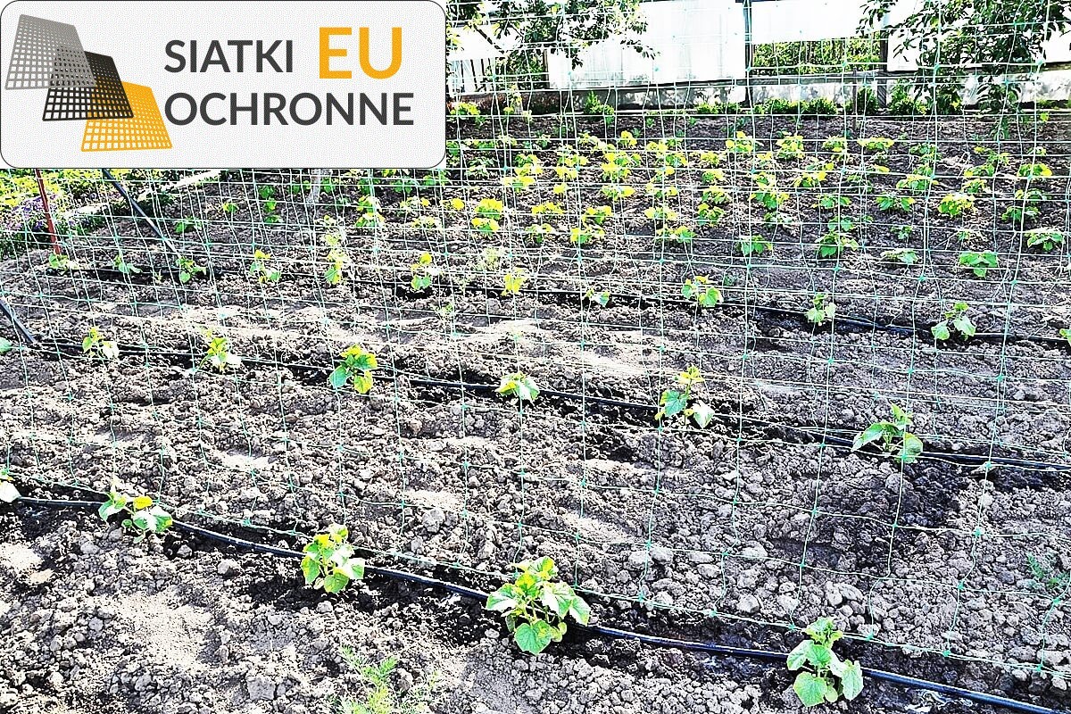 Siatka ochronna i segregacyjna dla grządek ogrodowych SiatkiOchronne.eu - Siatka ochronna i segregacyjna dla grządek ogrodowych