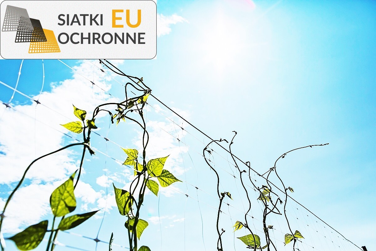 Chroń swoje kwiaty i grządki wytrzymałą siatką sznurkową SiatkiOchronne.eu - Chroń swoje kwiaty i grządki wytrzymałą siatką sznurkową