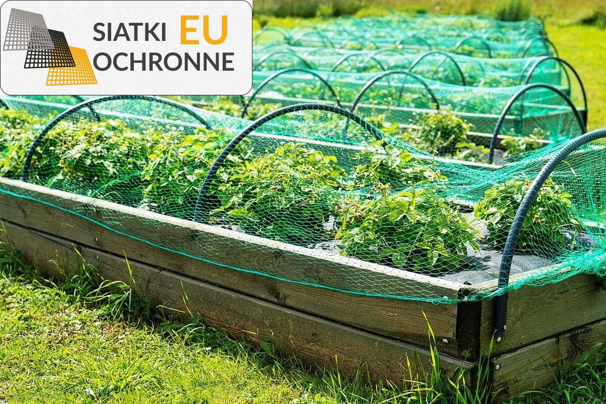 Bezpieczne i trwałe osłony dla Twoich kwiatów - nasza siatka sznurkowa SiatkiOchronne.eu - Bezpieczne i trwałe osłony dla Twoich kwiatów - nasza siatka sznurkowa