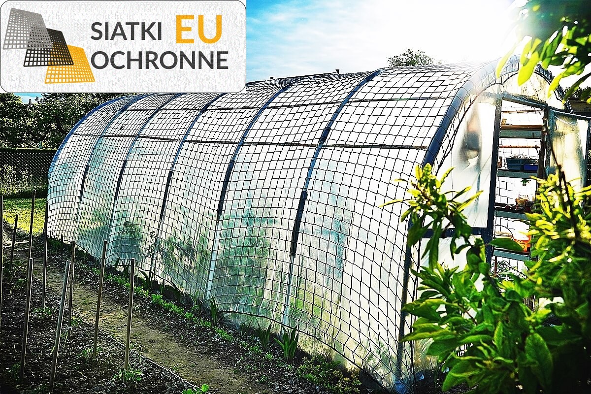 TANIA SIATKA — Skuteczna i niedroga ochrona Twoich roślin ogrodowych SiatkiOchronne.eu - TANIA SIATKA — Skuteczna i niedroga ochrona Twoich roślin ogrodowych
