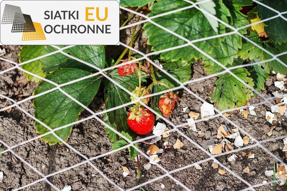 Siatki zabezpieczające dla roślin — ochrona przed zwierzętami SiatkiOchronne.eu - Siatki zabezpieczające dla roślin — ochrona przed zwierzętami