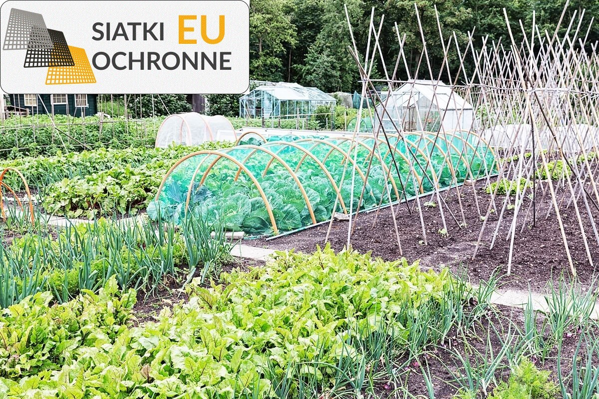 Solidna ochrona Twojego ogrodu - siatka bezpieczna SiatkiOchronne.eu - Solidna ochrona Twojego ogrodu - siatka bezpieczna