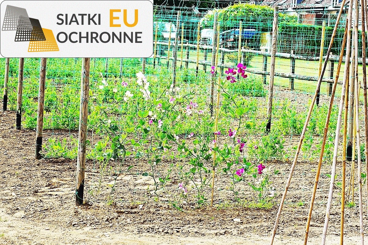 Solidna ochrona Twojego ogrodu - siatka bezpieczna SiatkiOchronne.eu - Solidna ochrona Twojego ogrodu - siatka bezpieczna