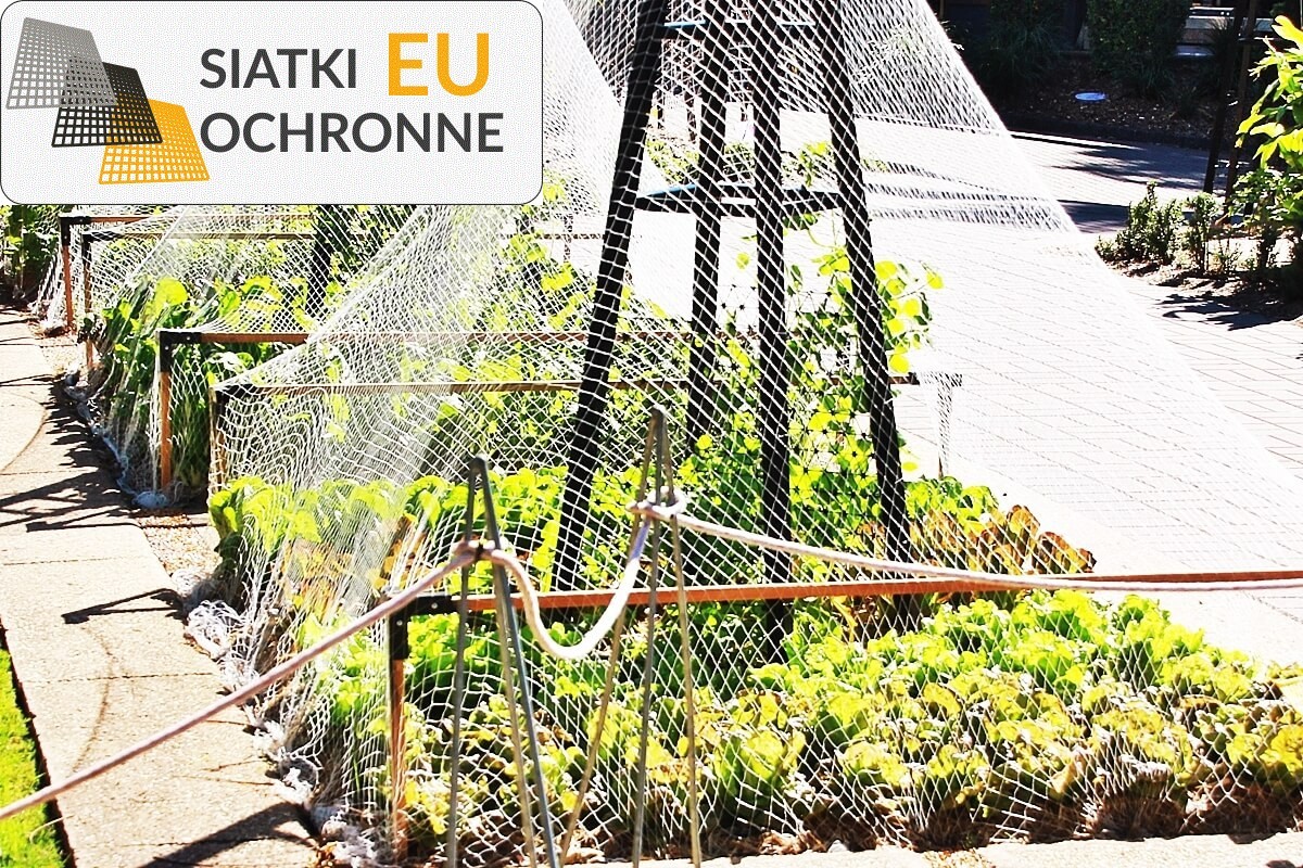 Siatka ochronna do grządek podwyższonych SiatkiOchronne.eu - Siatka ochronna do grządek podwyższonych