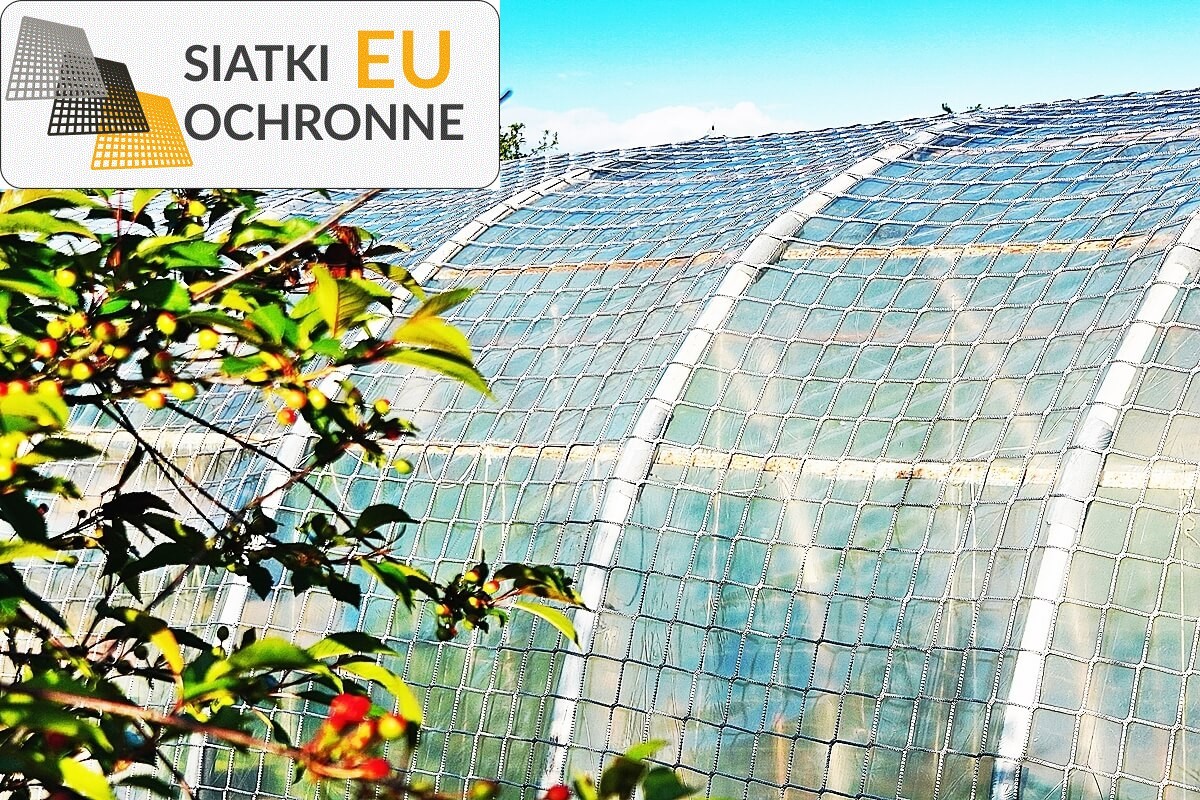 Siatka ochronna dla grządek w przystępnej cenie SiatkiOchronne.eu - Siatka ochronna dla grządek w przystępnej cenie