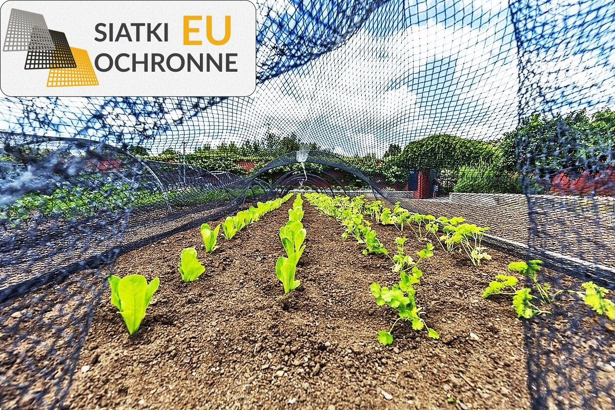 Siatka ochronna dla grządek w przystępnej cenie SiatkiOchronne.eu - Siatka ochronna dla grządek w przystępnej cenie