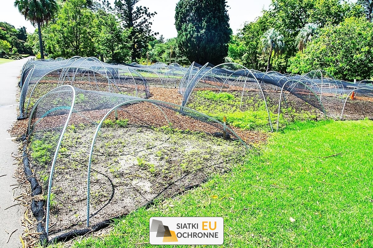  SiatkiOchronne.eu - Ogrodzenie rabat 