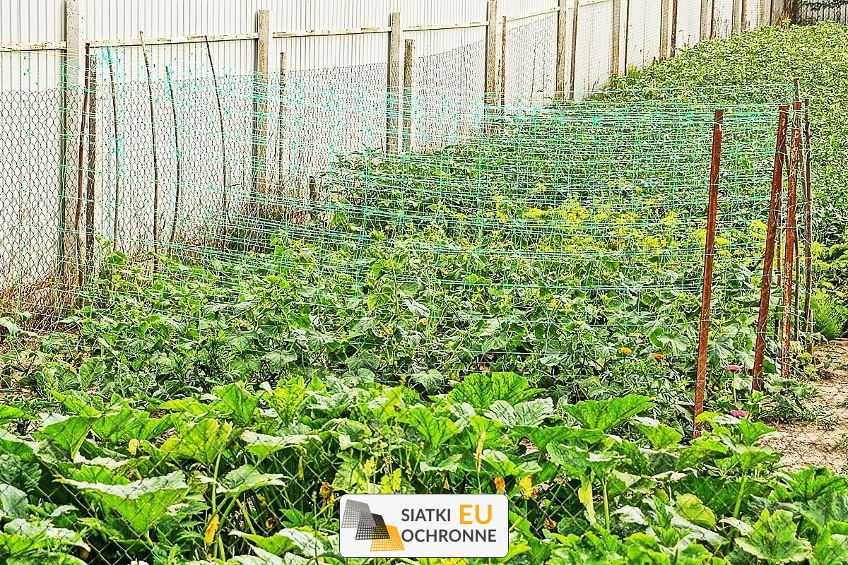 Bezpieczeństwo dla Twoich kwiatów - siatka ochronna SiatkiOchronne.eu - Bezpieczeństwo dla Twoich kwiatów - siatka ochronna