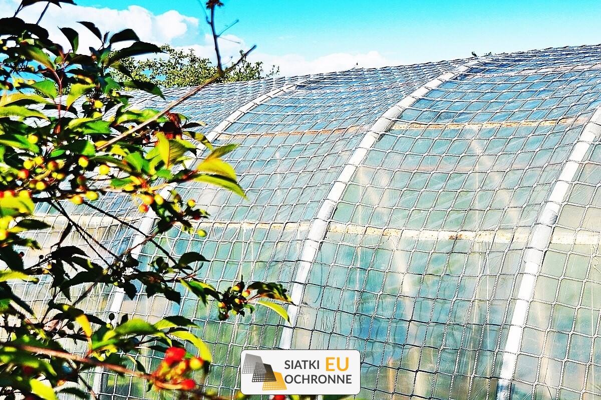   SiatkiOchronne.eu - Twoje kwiaty, Twoja twierdza: solidne ogrodzenie   Siatka zabezpieczająca: ochrona, której możesz zaufać 