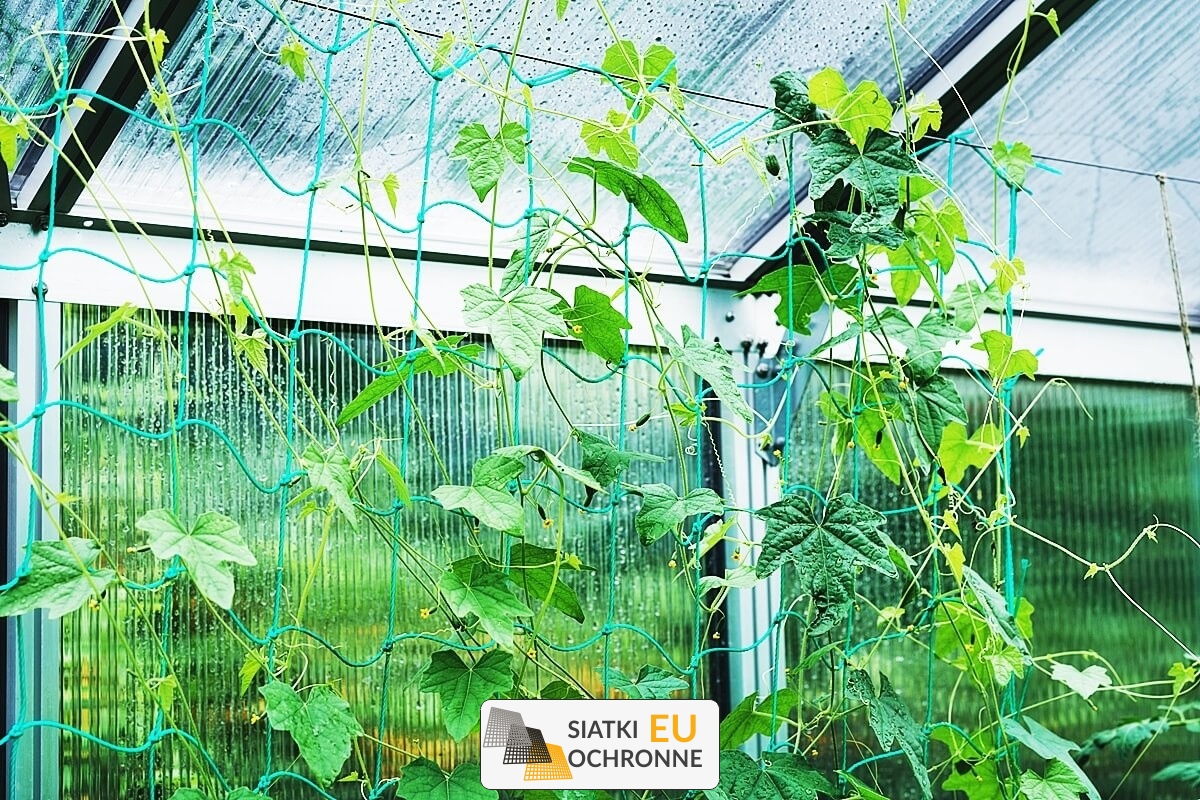   SiatkiOchronne.eu - Miękka plastikowa siatka ochronna przeciwko zwierzętom 