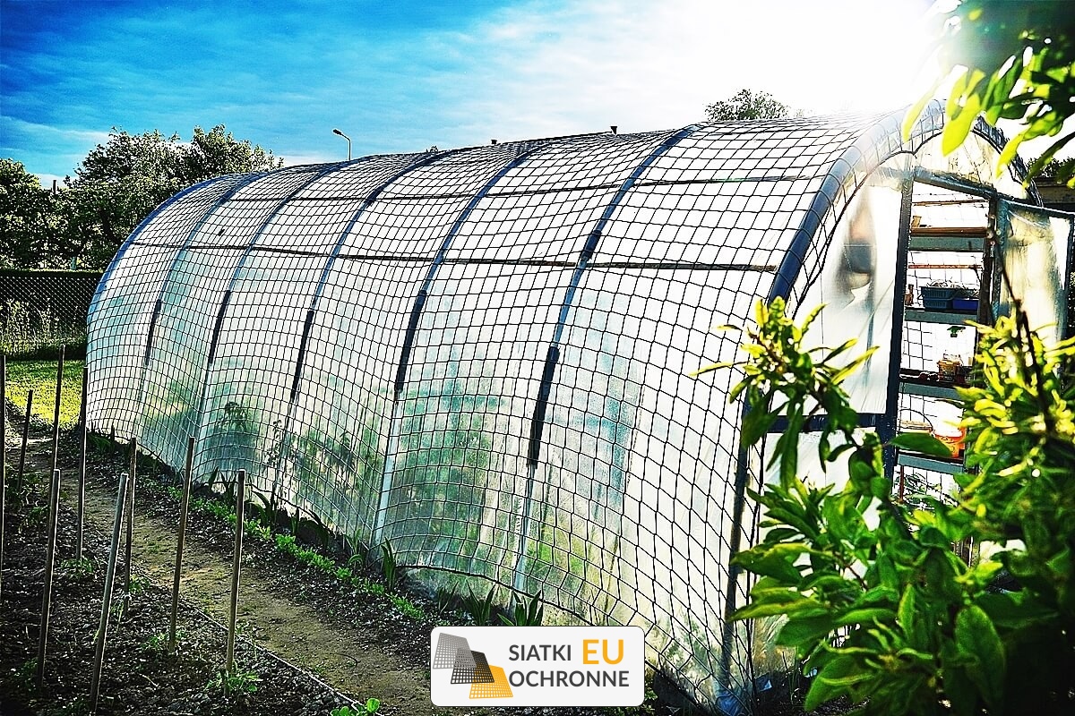 Siatka ochronna dla rabat warzywnych i kwiatowych SiatkiOchronne.eu - Siatka ochronna dla rabat warzywnych i kwiatowych