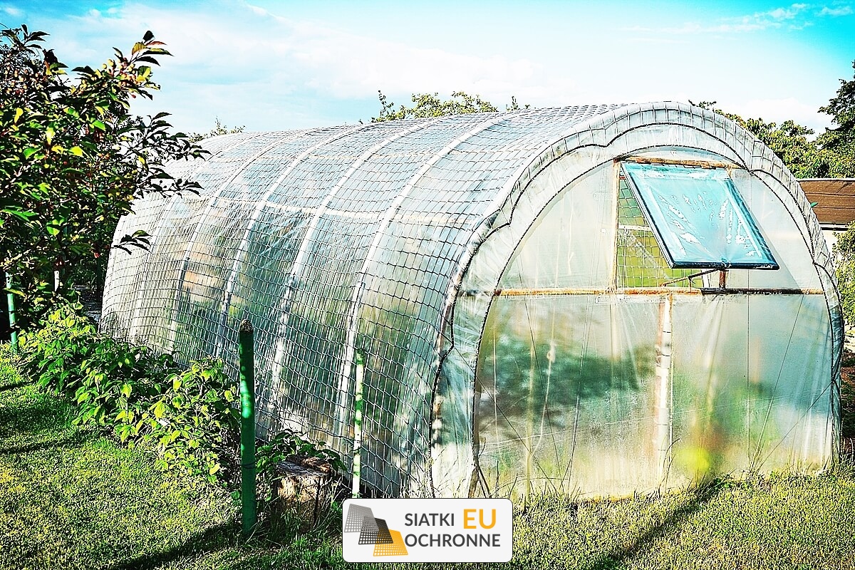 Siatka ochronna na każdy sezon: Chroniąca Twoje kwiaty SiatkiOchronne.eu - Siatka ochronna na każdy sezon: Chroniąca Twoje kwiaty