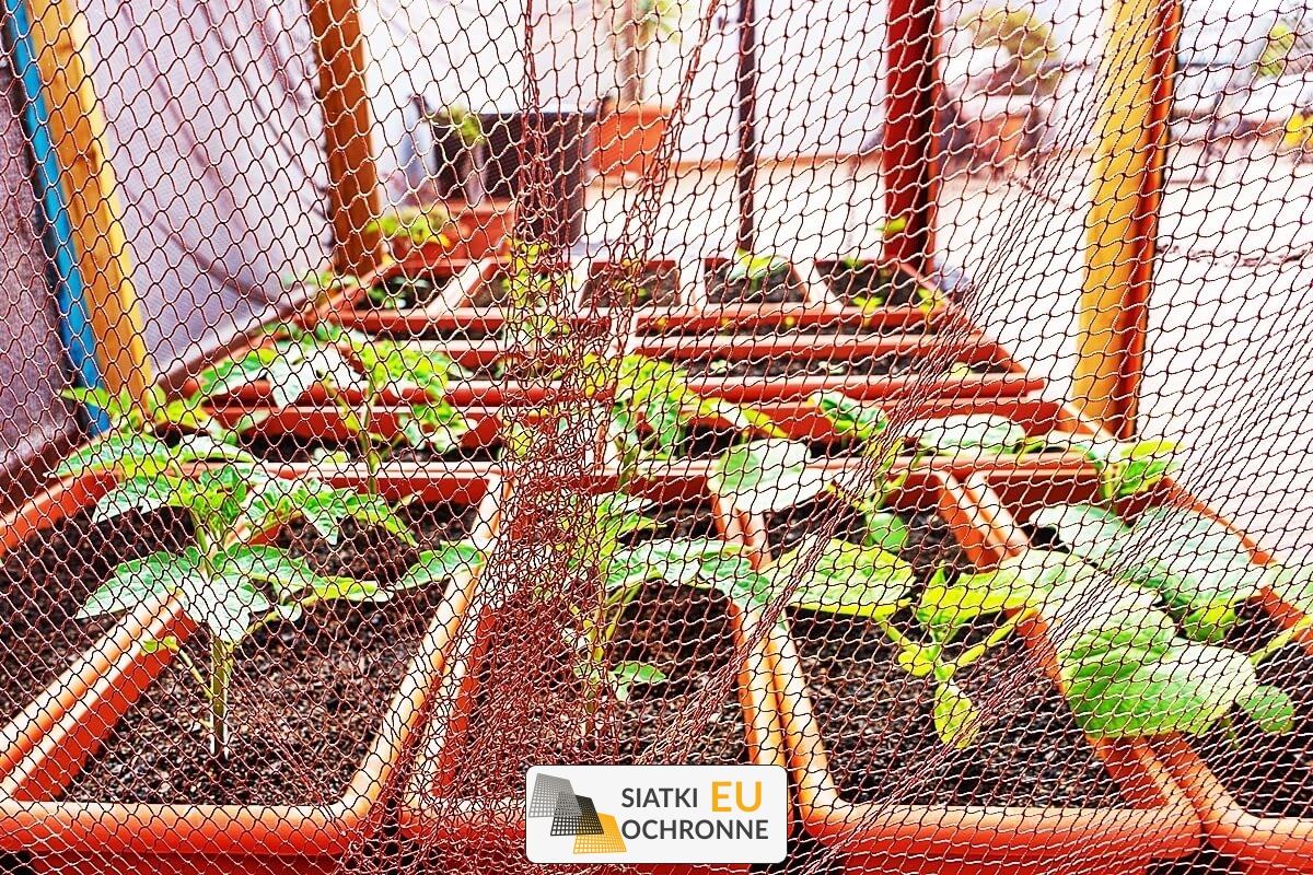Twoja pewność ochrony roślin - siatka zabezpieczająca SiatkiOchronne.eu - Twoja pewność ochrony roślin - siatka zabezpieczająca