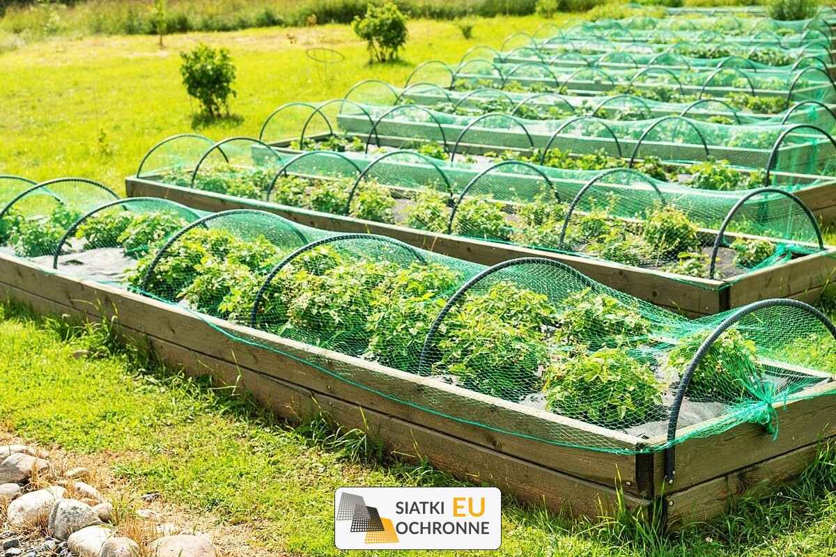 Solidna siatka zabezpieczająca — delikatna ochrona dla Twojego ogródka kwiatowego SiatkiOchronne.eu - Solidna siatka zabezpieczająca — delikatna ochrona dla Twojego ogródka kwiatowego