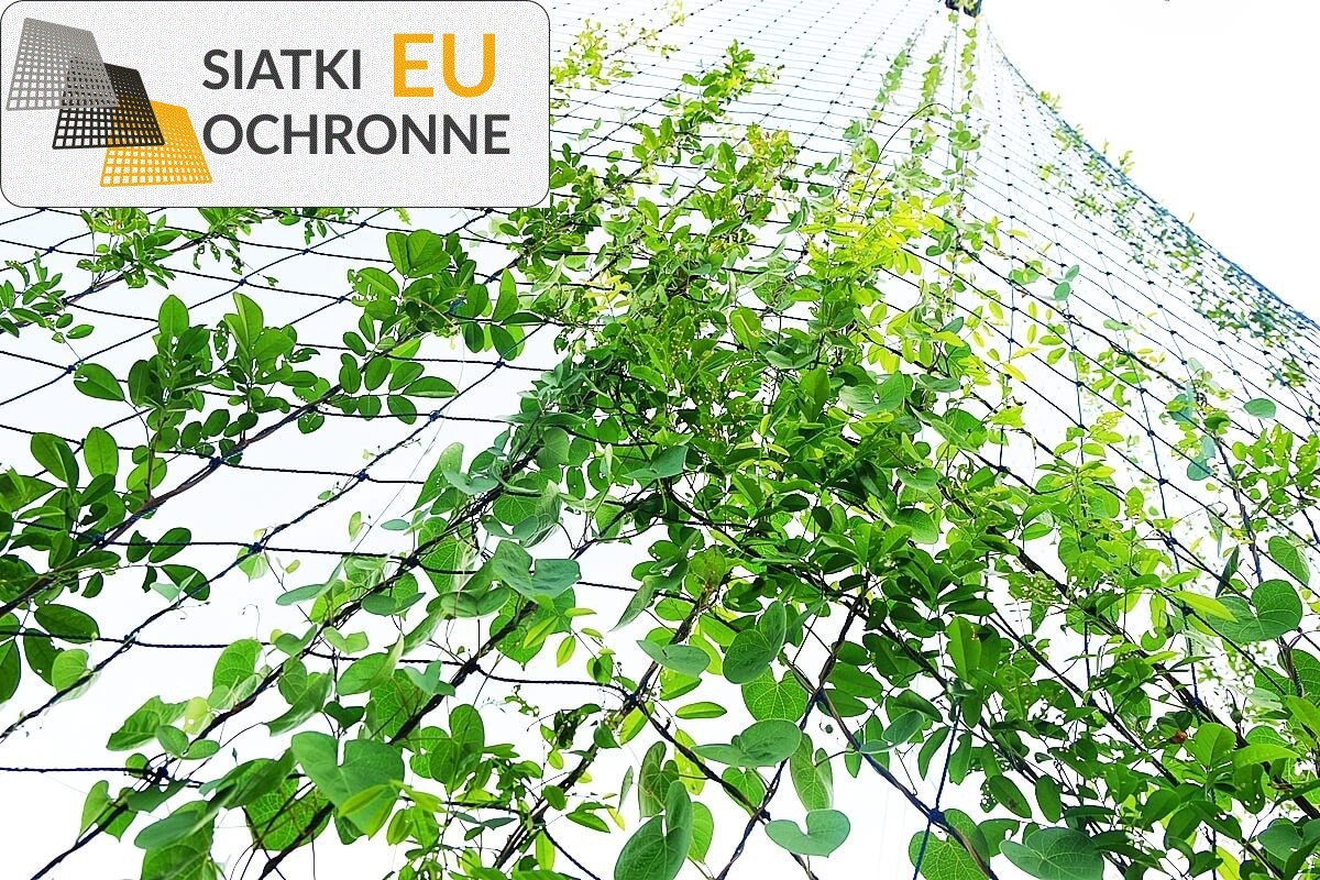 Nieprześwitująca siatka zabezpieczająca dla zdrowych roślin i pięknych kwiatów SiatkiOchronne.eu - Nieprześwitująca siatka zabezpieczająca dla zdrowych roślin i pięknych kwiatów
