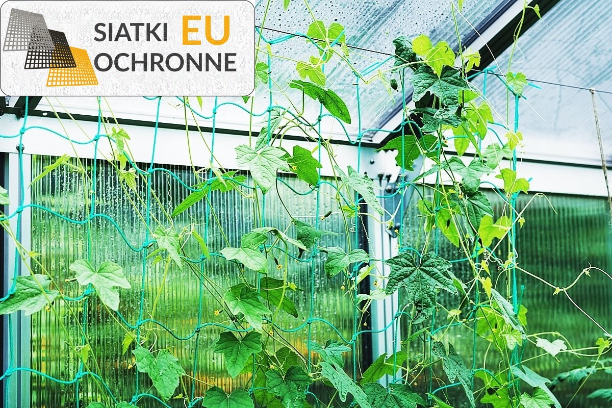 Siatka z oczkiem - zabezpieczenie dla podwyższonych grządek SiatkiOchronne.eu - Siatka z oczkiem - zabezpieczenie dla podwyższonych grządek