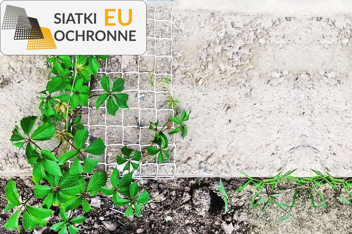 Siatka zabezpieczająca rośliny przed kotami SiatkiOchronne.eu - Siatka zabezpieczająca rośliny przed kotami
