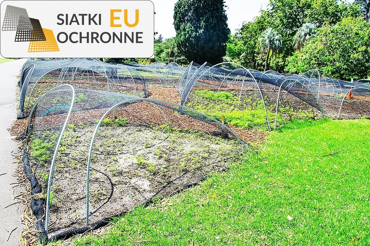 Siatka ochronna na kwiaty: idealna do Twojego ogródka SiatkiOchronne.eu - Siatka ochronna na kwiaty: idealna do Twojego ogródka