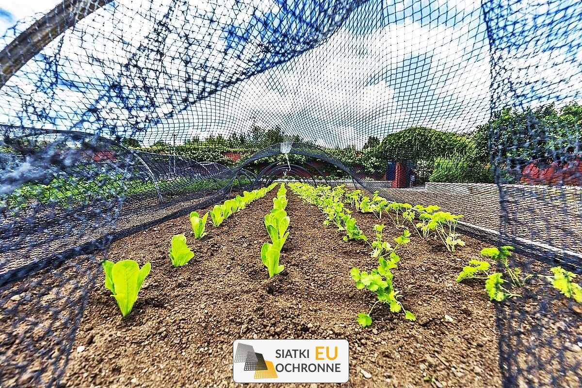   SiatkiOchronne.eu - Ochrona grządek przed intruzami - Siatki i osłony 