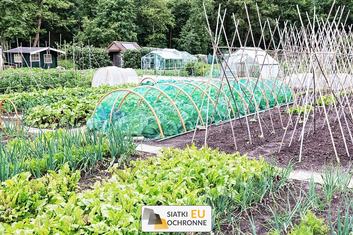   SiatkiOchronne.eu - Siatka ochronna do grządek podwyższonych 