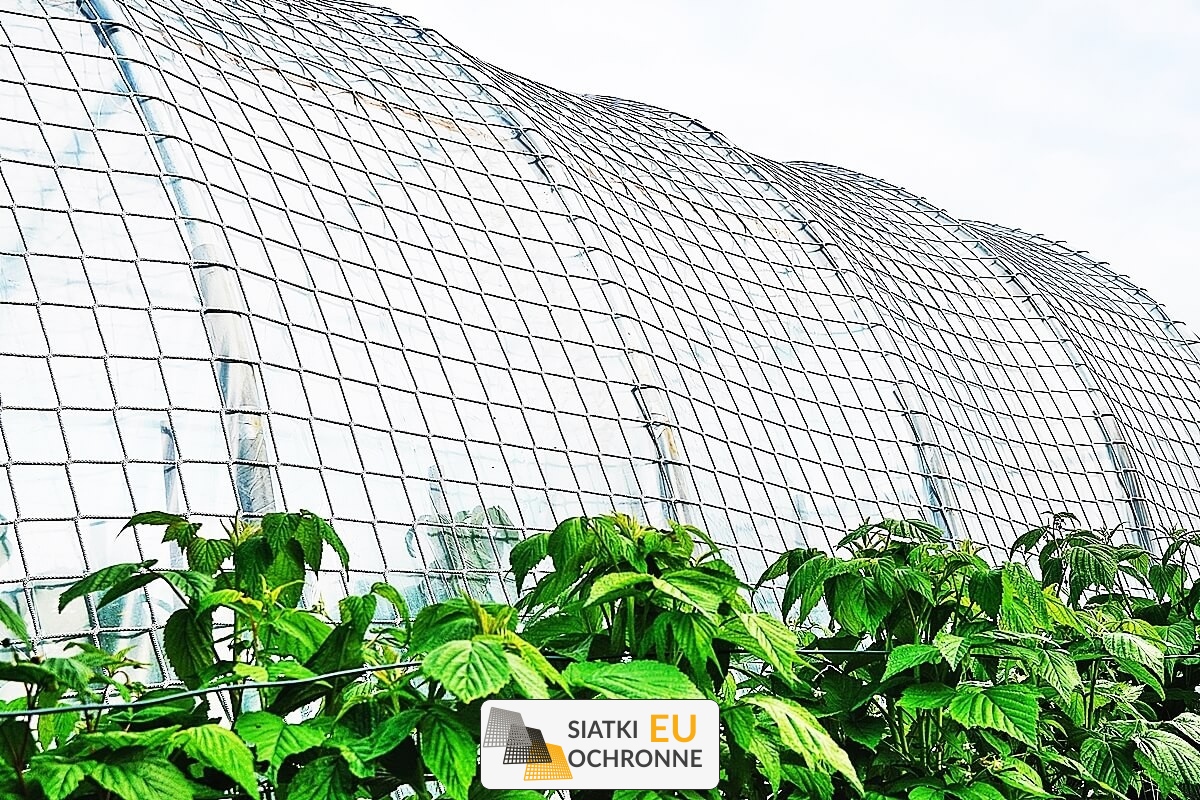   SiatkiOchronne.eu - Siatka ochronna zapobiegająca dostępowi kotów do rabat 