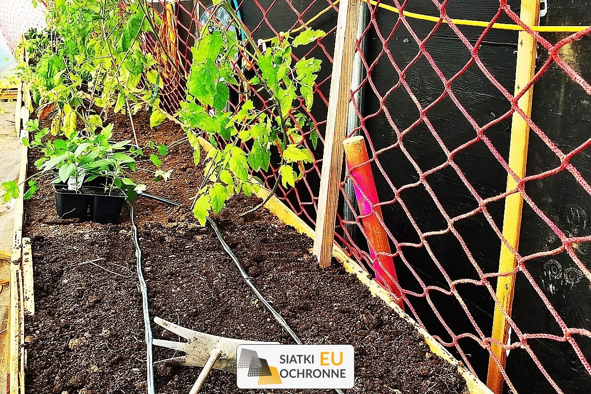   SiatkiOchronne.eu - Siatka ochronna zapobiegająca dostępowi kotów do rabat 