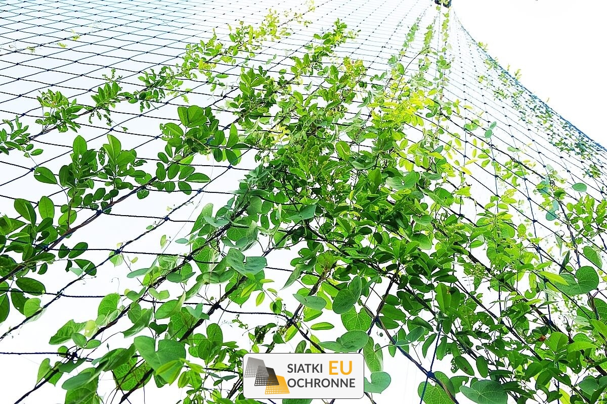   SiatkiOchronne.eu - Ochrona przed Ptakami — Siatka do Grządek Podwyższonych 