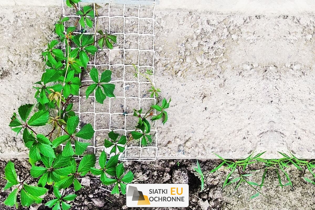   SiatkiOchronne.eu - Siatka sznurkowa ekonomiczna - idealna do Twojej działki 