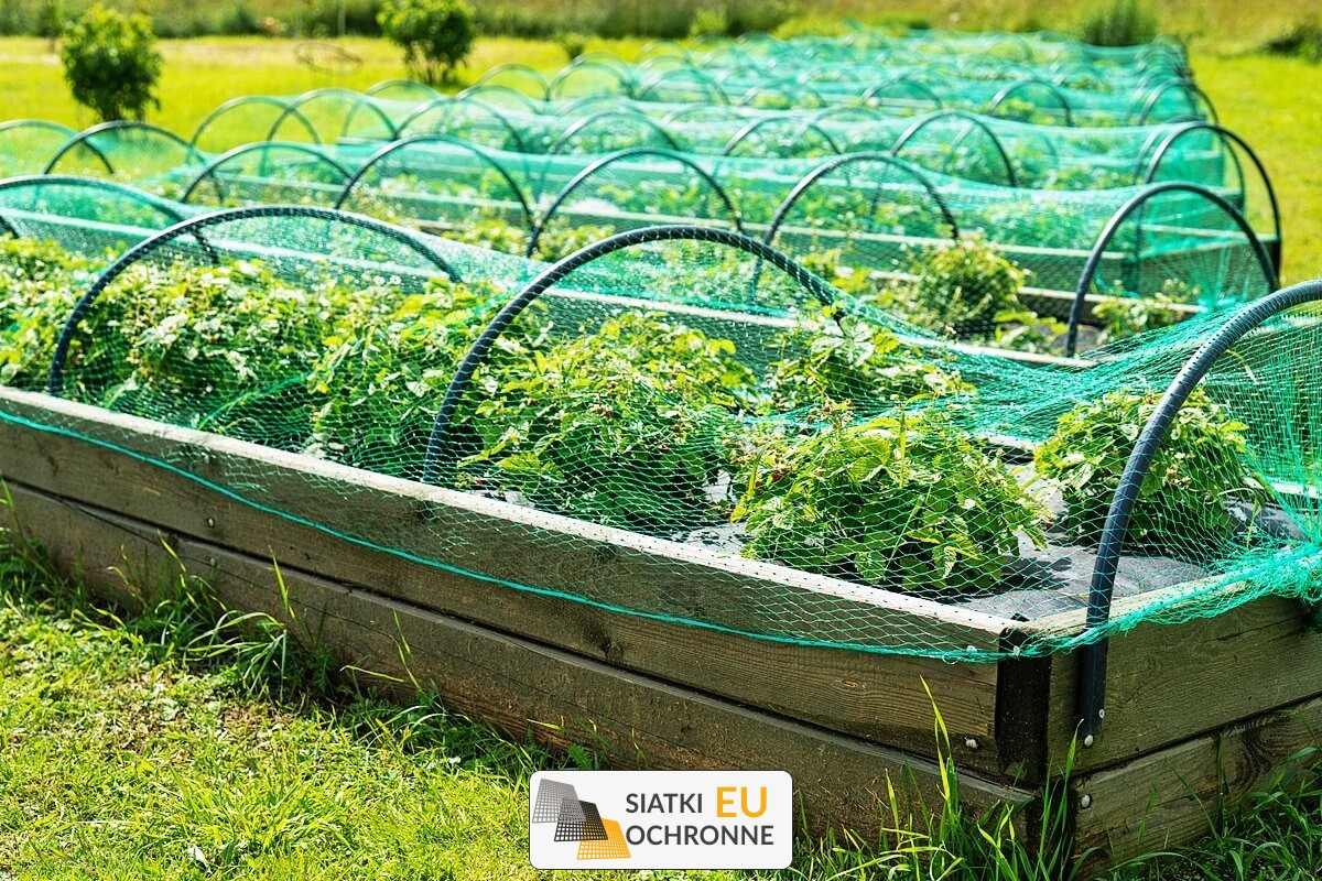   SiatkiOchronne.eu - Stabilna ochrona dla Twoich grządek - siatka sznurkowa 