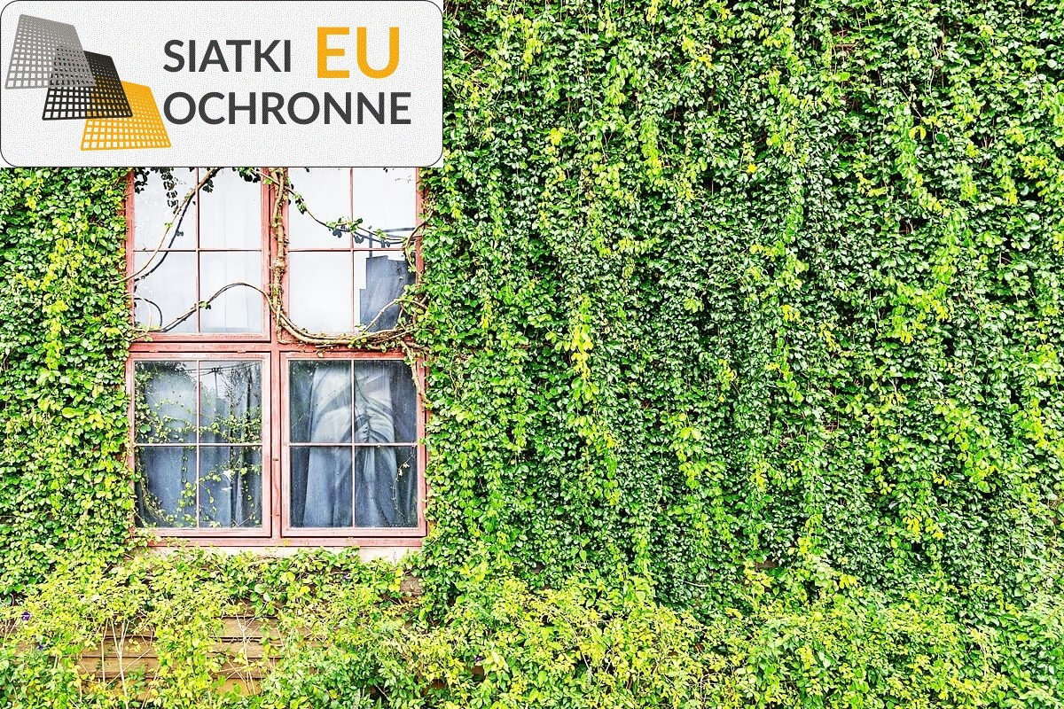 Wsparcie dla kwiatów pnących z siatki SiatkiOchronne.eu - Wsparcie dla kwiatów pnących z siatki