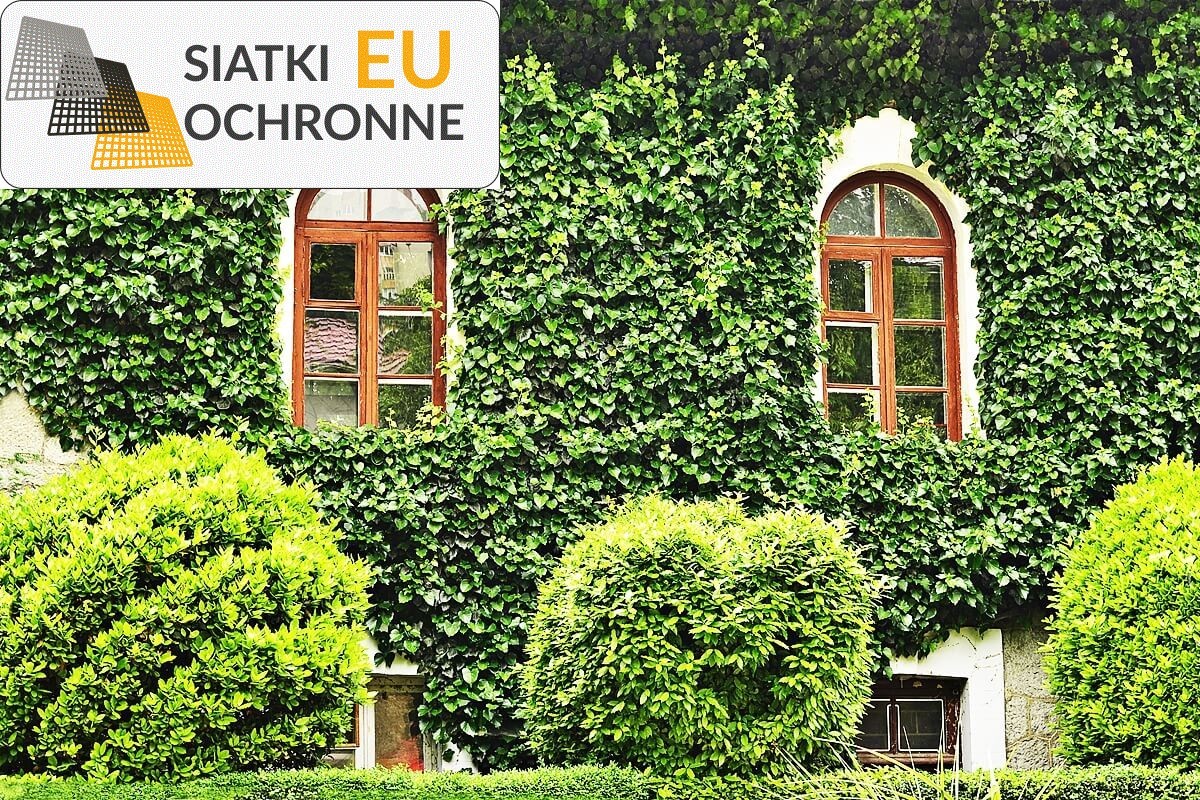 Wsparcie dla roślin pnących: przydatne siatki sznurkowe SiatkiOchronne.eu - Wsparcie dla roślin pnących: przydatne siatki sznurkowe