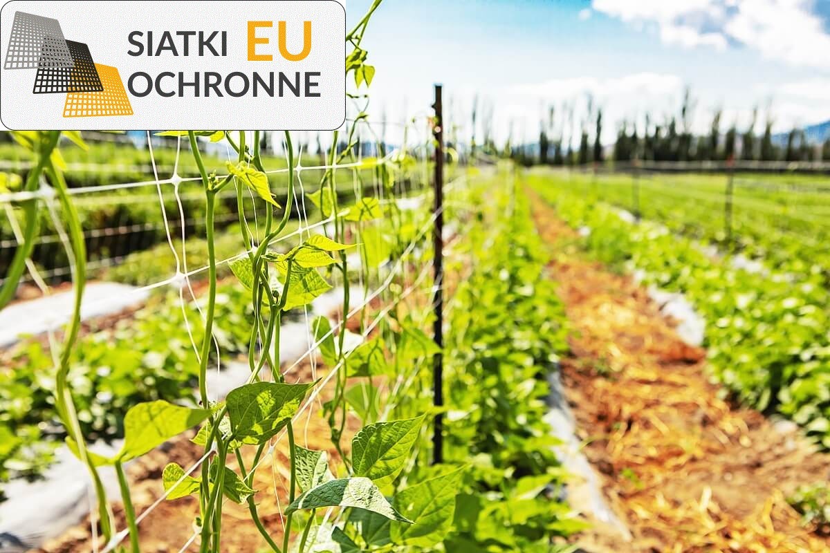 Oczka sznurkowe na pomoc roślinom pnącym - doskonałe dla miłośników ogrodnictwa SiatkiOchronne.eu - Oczka sznurkowe na pomoc roślinom pnącym - doskonałe dla miłośników ogrodnictwa