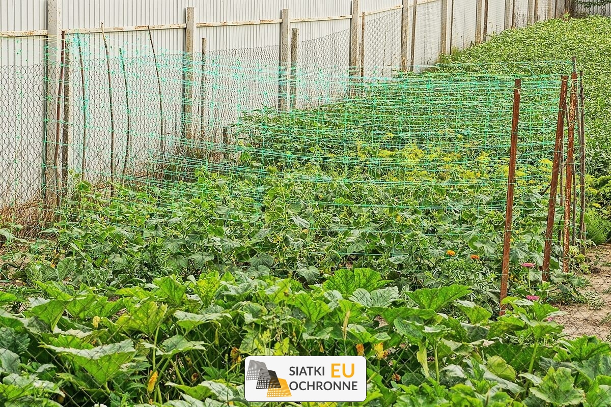   SiatkiOchronne.eu - Mocna siatka do wsparcia roślin pnących 