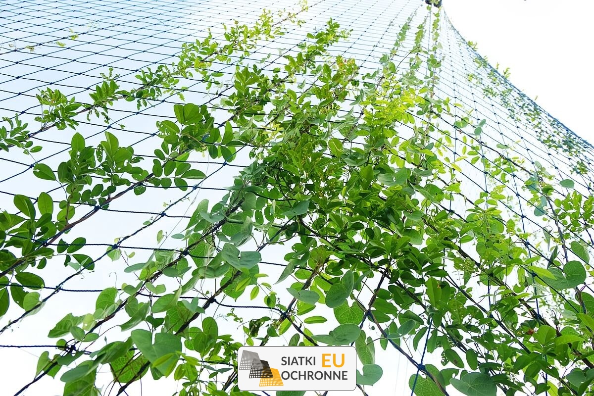   SiatkiOchronne.eu - Odporna siatka z dużym oczkiem dla roślin pnących 
