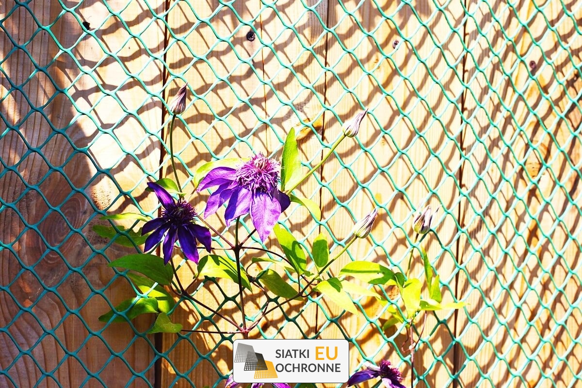   SiatkiOchronne.eu - Gęsta siatka idealna dla wymagających roślin pnących 